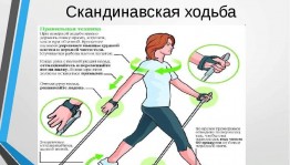 «Скандинавская ходьба»
