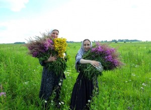 Познавательно-игровая программа «Июль-травник»