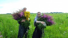 Познавательно-игровая программа «Июль-травник»