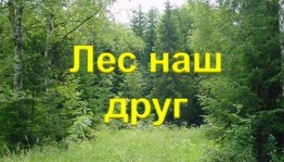 Викторина
