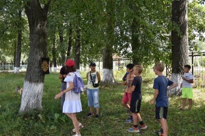 Конкурсная программа «Лето – это маленькая жизнь»