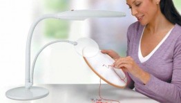 Мастер-класс «Иглой рисуем красоту»