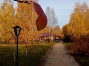 Литературный час «Аксаковская осень»