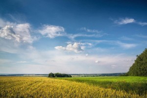Квест - игра «Я живу в России»