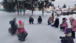 «Раз снежинка, два снежинка...»