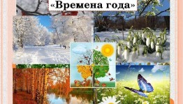 Экологическая игра–викторина «Времена года»