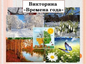 Экологическая игра–викторина «Времена года»