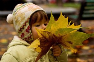 «Вдыхаем осень»