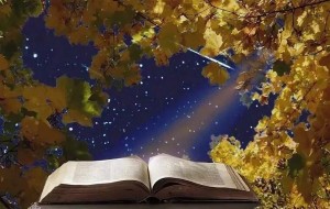 Поэтический звездопад «Поэтами воспетый край»