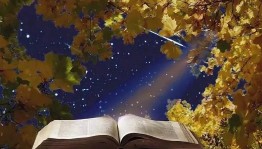 Поэтический звездопад «Поэтами воспетый край»