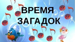 Игровая программа «Час загадок»