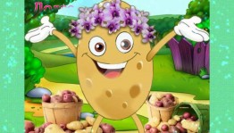 Развлекательная программа«Картофельный бум»