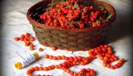 Мастер-класс «Рябиновые бусы»