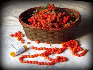 Мастер-класс «Рябиновые бусы»