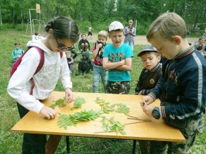Экологическая квест-игра «По лесным тропинкам»