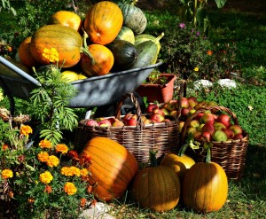 Осенние посиделки «Волшебное лукошко рецептов»