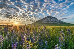 Концерт башкирской музыки, посвященный Дню Республики Башкортостан