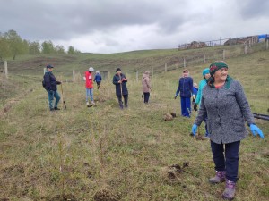 Экскурсия«По тропам осени»
