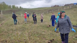 Экскурсия«По тропам осени»