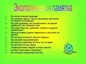 Познавательный час«Экологичное потребление»