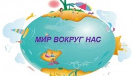 Игра викторина «Мир вокруг нас»