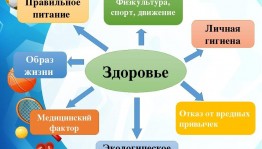 «Наш путь -здоровый образ жизни »
