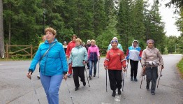 Спортивная программа «Я шагаю»