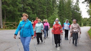 Спортивная программа «Я шагаю»