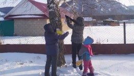 Экологическая акция «Поможем птицам зимой»