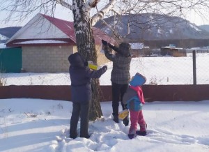 Экологическая акция «Поможем птицам зимой»