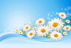 Музыкально – танцевальная программа «Ромашка на счастье»