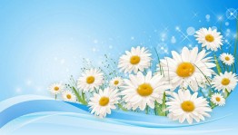 Музыкально – танцевальная программа «Ромашка на счастье»