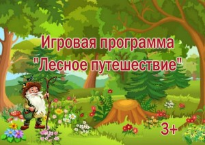 Познавательно-развлекательная программа «Лесное путешествие»