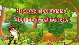 Познавательно-развлекательная программа «Лесное путешествие»