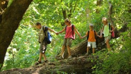 «Мир вокруг нас»