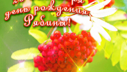 «Рябинник»