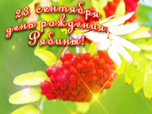 «Рябинник»