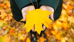 Вечеринка «Листья желтые…»