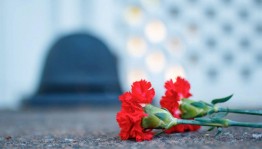 «Эхо войны»