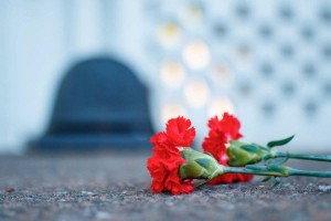 «Эхо войны»