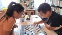 «Веселые шашки!» игровая программа