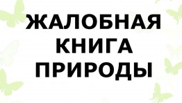 «Жалобная книга природы» игра - конкурс