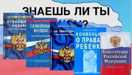 Тематическая викторина «Знаю ли я закон?»