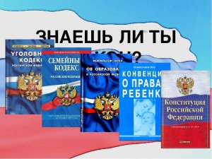 Тематическая викторина «Знаю ли я закон?»