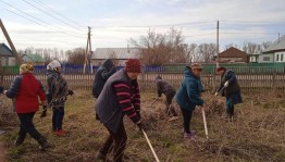 Акция «Чистый дом, чистый двор, чистое село».