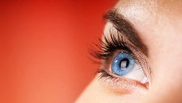 Лекция «Новый взгляд»