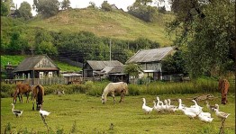 «По просторам моего села»