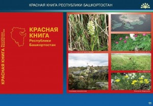 О чем расскажет Красная книга?
