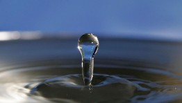 «День воды»