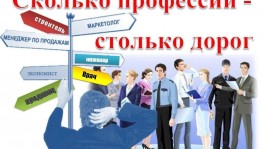 «Сколько профессий- столько дорог»